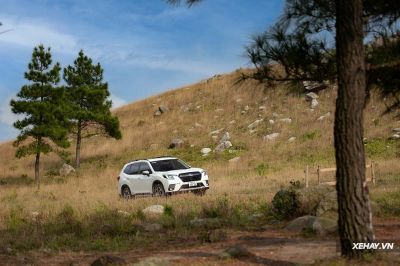 Subaru Forester 2023: “Món ngon cho kẻ sành ăn”