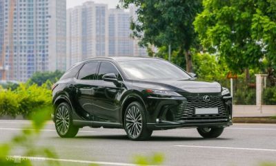 Thị trường xe sang Việt 2025 - Lexus áp sát ngôi đầu Mercedes
