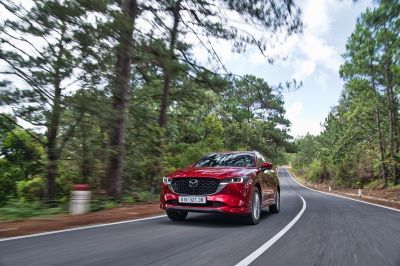 Lý do thị trường ôtô Việt 'bốc hơi' gần 50% doanh số