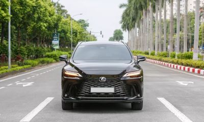Lexus vượt Mercedes thành thương hiệu xe sang đắt khách nhất Việt Nam