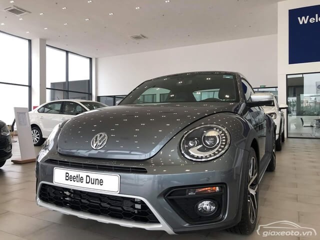 dau-xe-Volkswagen-Beetle-Dune